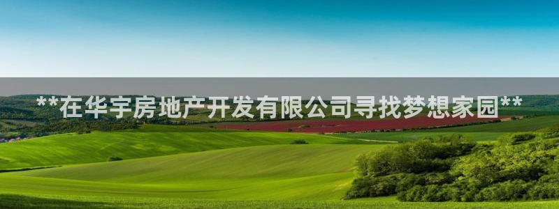 万向娱乐平台代理多少钱一个