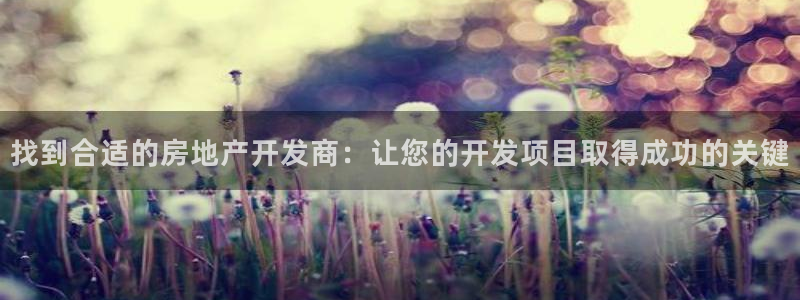 万向娱乐代理好看视频