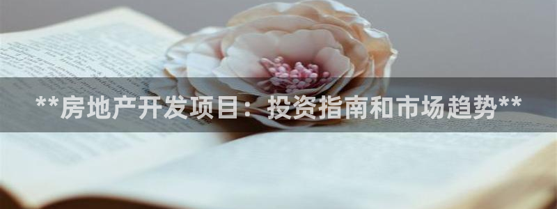 万向娱乐平台代理怎么做的