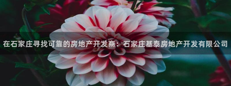 万向娱乐首页