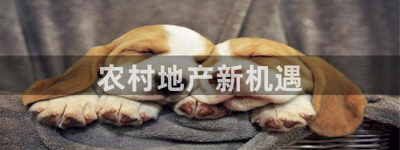 万向娱乐代理好看视频是真的吗