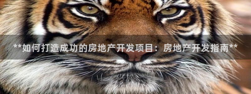 万向娱乐公司官网首页