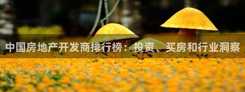 万向娱乐公司官网