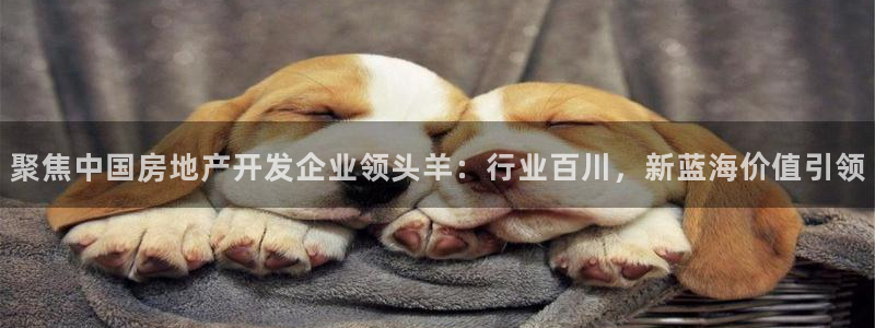 万向娱乐平台代理怎么样啊