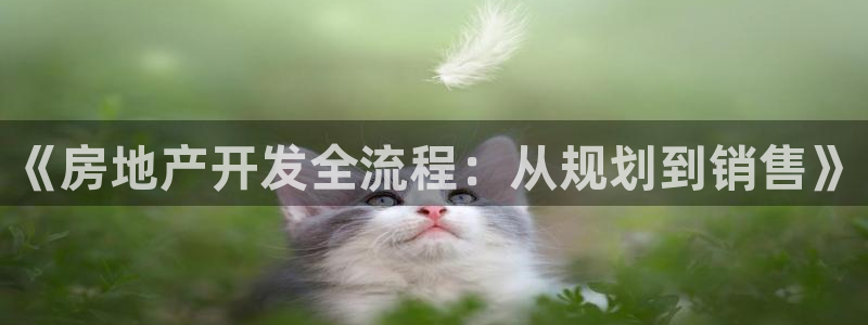 万向娱乐挂机软件