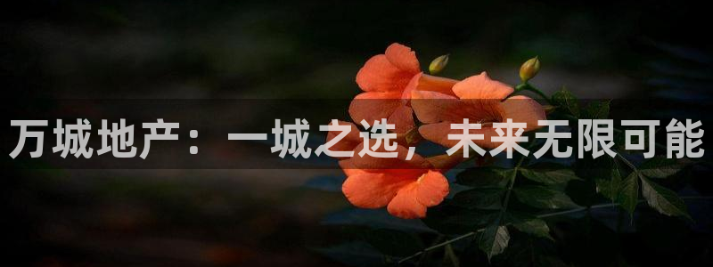 万向娱乐官网