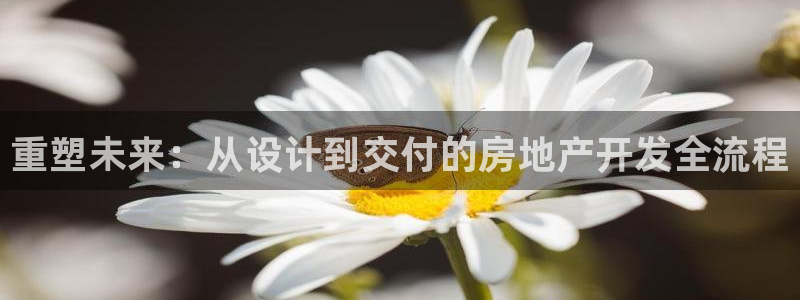 万向娱乐官网网址是什么